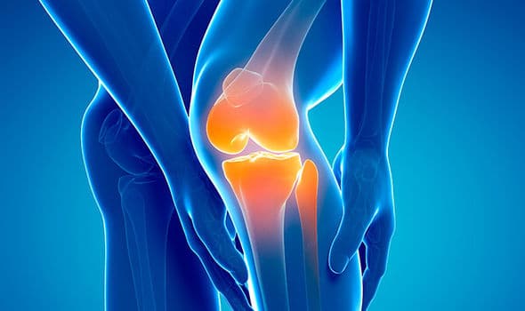 Hip Joint Replacement Recovery Time