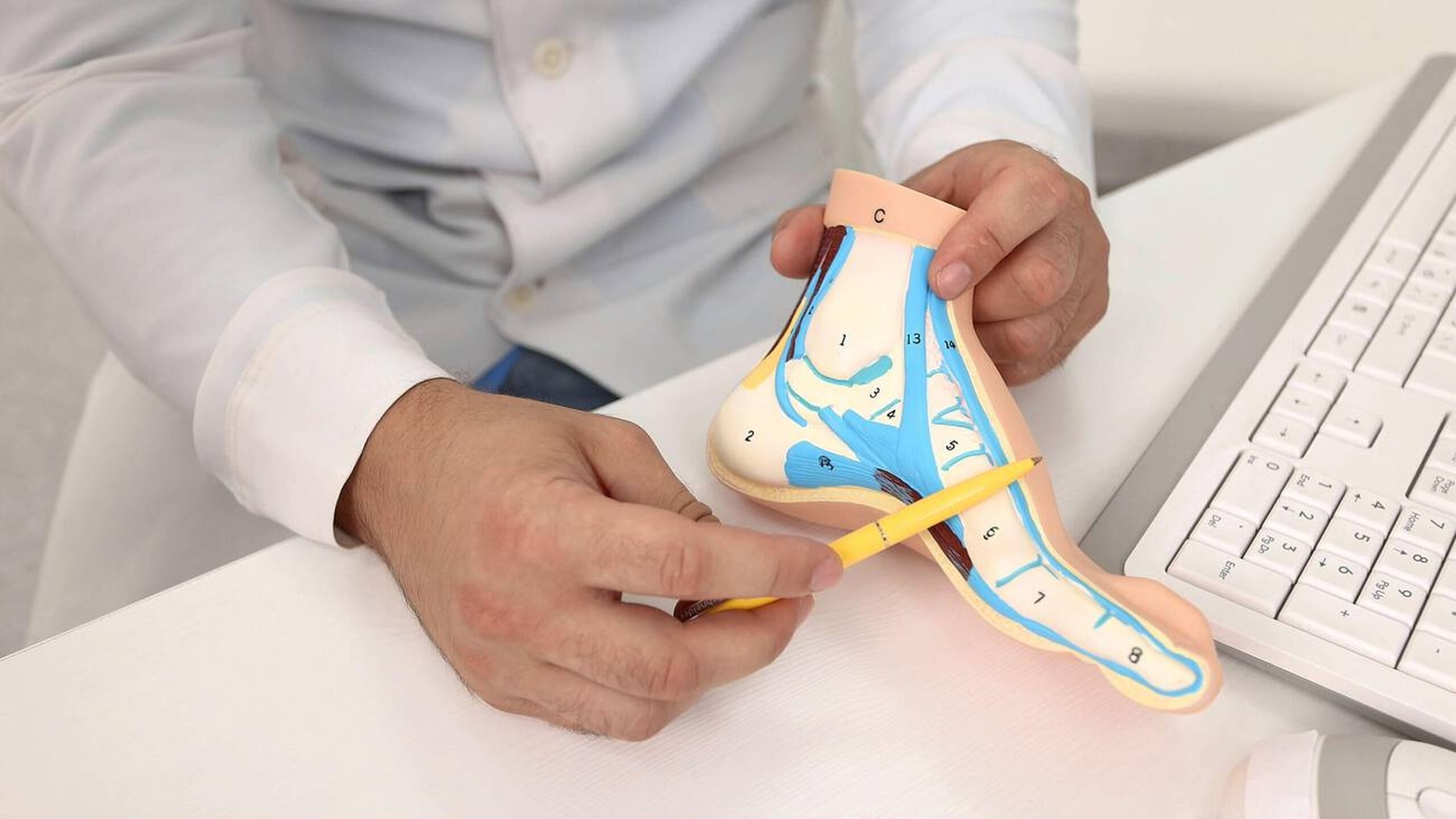 Common paediatric orthopaedic conditions by age - hip, foot, limb, spine